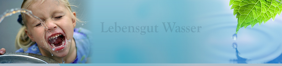 Lebensgut Wasser